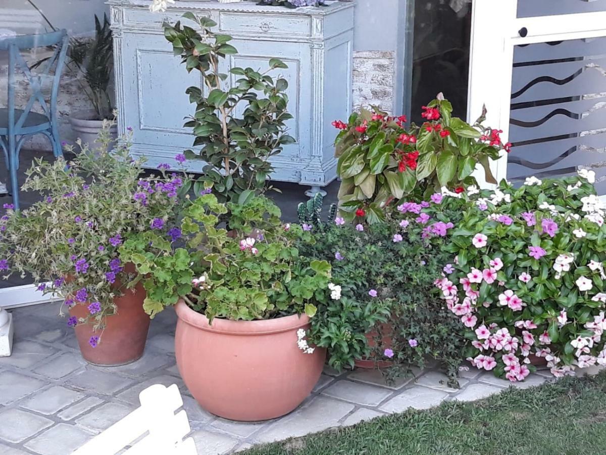 B&B San Valerio Occimiano Buitenkant foto
